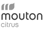 Mouton Citrus