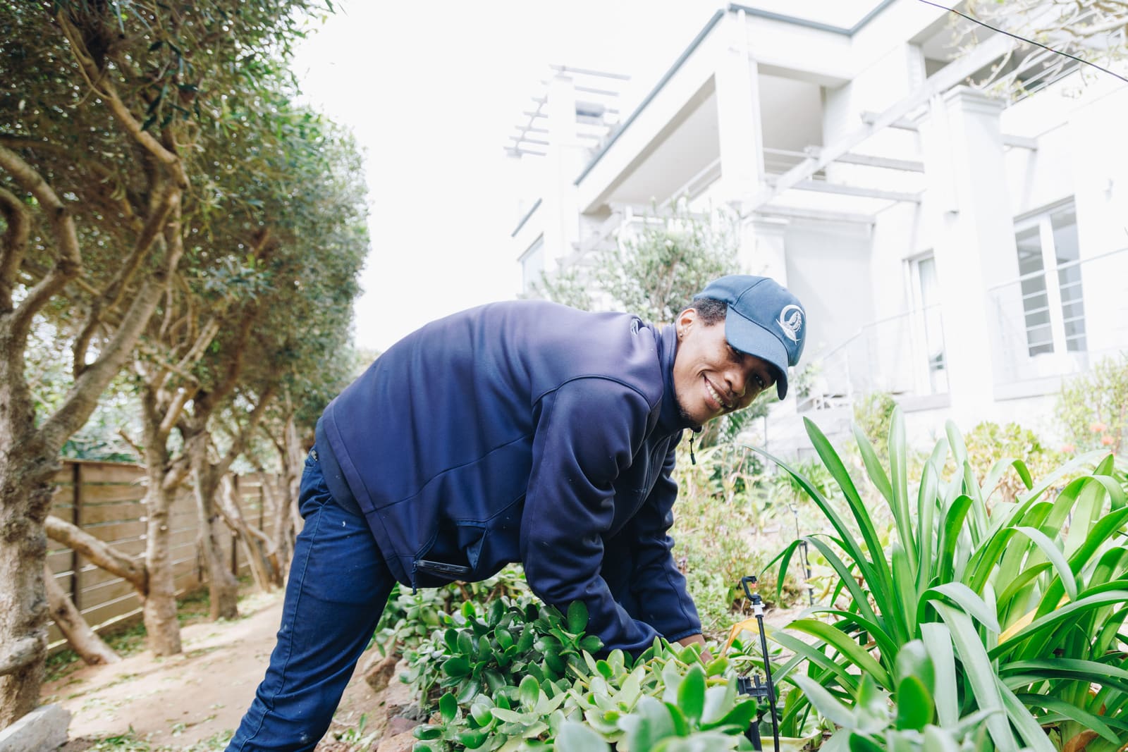 A smiling groundsman in a navy cap and work clothes bending over to tend plants in a garden beside a row of olive trees