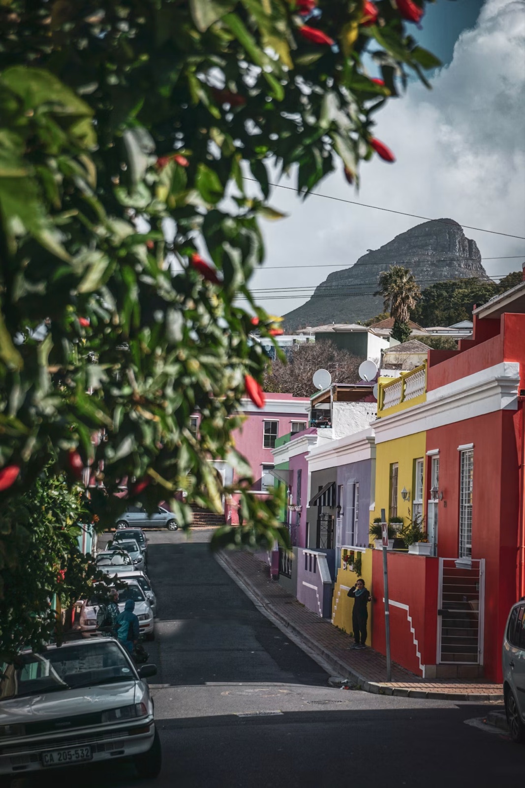 A Bo-Kaap street of brightly painted houses in Cape Town, with Lion's Head behind
