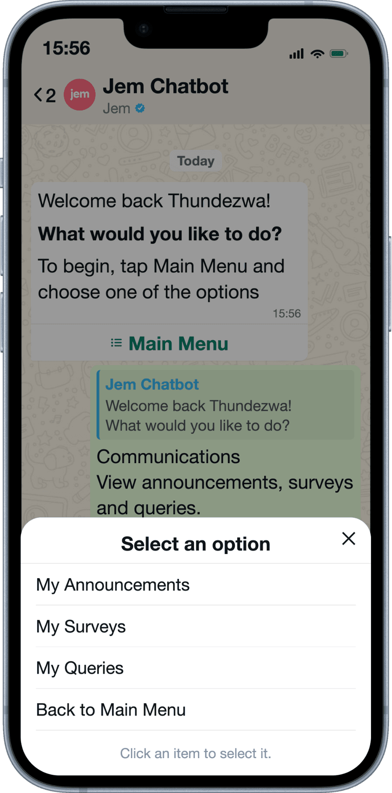 The Jem WhatsApp chat open on a phone, showing the announcements menu a company-wide message is sent from